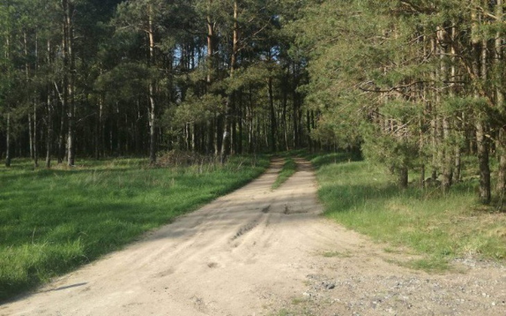 Zbiórka Pomoc w wyremontowaniu pokoju - zdjęcie główne