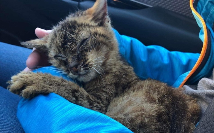 Zbiórka Na dalsze pomaganie - zdjęcie główne