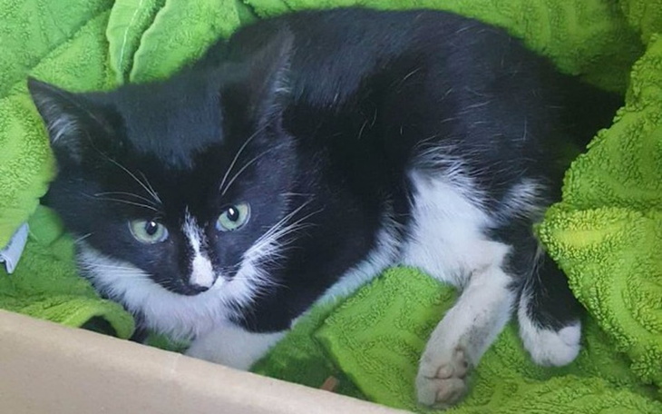 Zbiórka Małe nieszczęście - zdjęcie główne