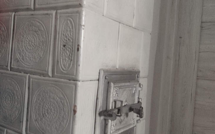 Zbiórka Opal drzewo - zdjęcie główne