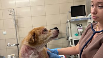 Zbiórka Jego skóra płonie! - miniaturka zdjęcia