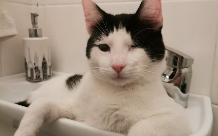 Zbiórka Zżera go rak- Stop - zdjęcie główne