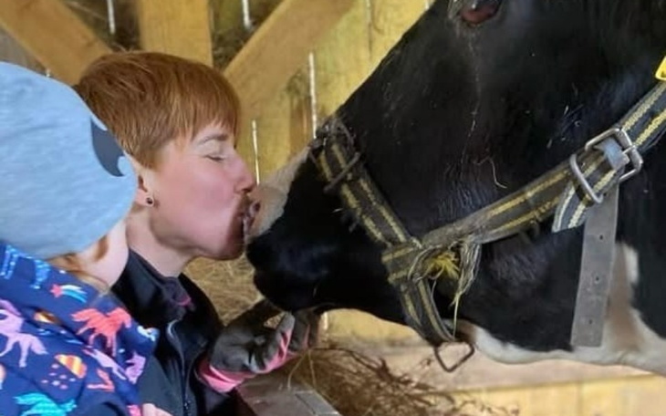 Zbiórka Bazarek Serdeczności dla Krówek - zdjęcie główne