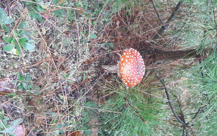 Zbiórka Wyjść z kredytów - zdjęcie główne