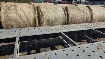 Zbiórka Na sianko dla koni fundacji - miniaturka zdjęcia