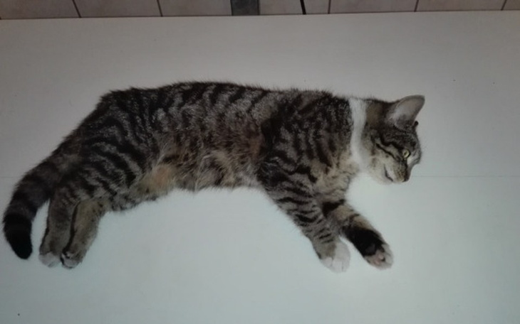 Zbiórka Na ratunek Marysi - zdjęcie główne