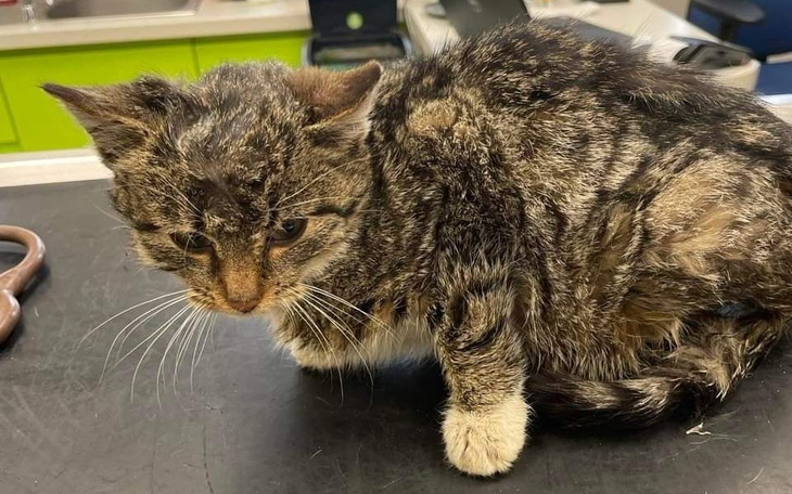 Zbiórka Ledwo uszedł z życiem - zdjęcie główne