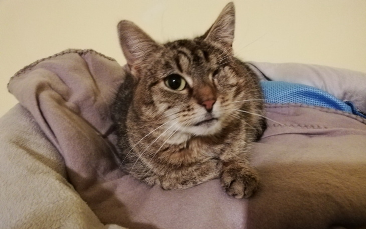 Zbiórka Miejsce dla bezdomnego - zdjęcie główne