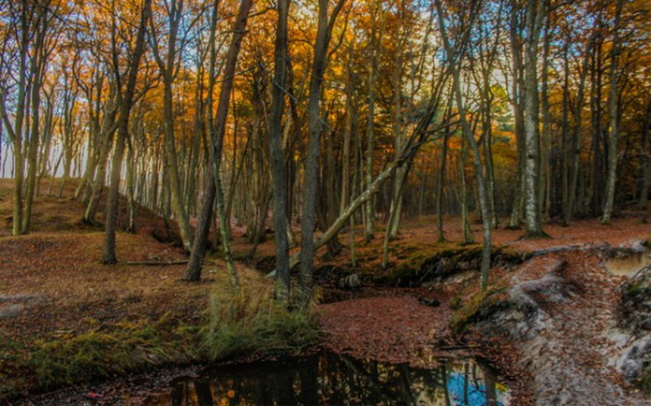 Zbiórka Marzenia fotografowania i filmow - zdjęcie główne