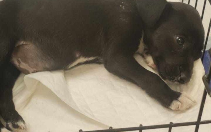 Zbiórka Umierał to trzeba go wyrzucić - zdjęcie główne