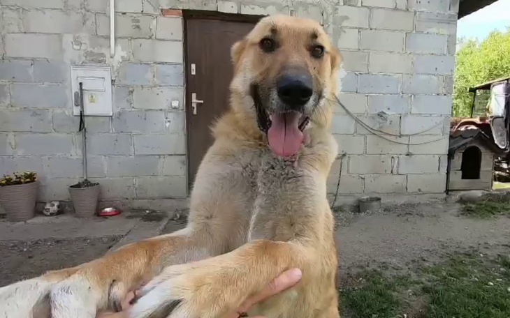 Zbiórka Powrót oznacza śmierć - zdjęcie główne