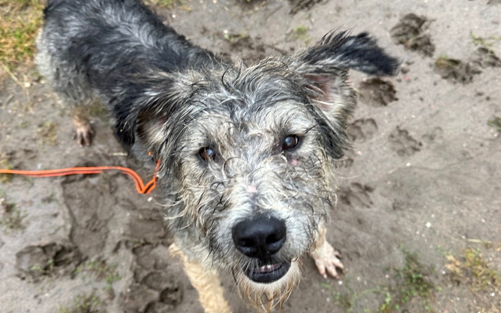 Zbiórka Nowe życie Romka - zdjęcie główne