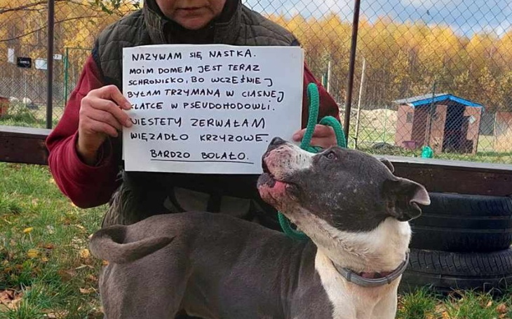 Zbiórka Tylko zdrowa ma szansę na dom - zdjęcie główne