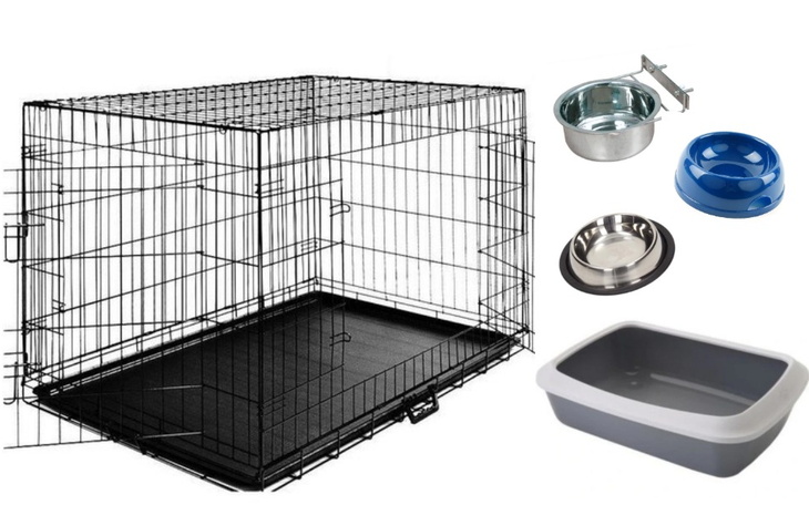 Zbiórka Sprzęt do pomocy bezdomnym kotom - zdjęcie główne