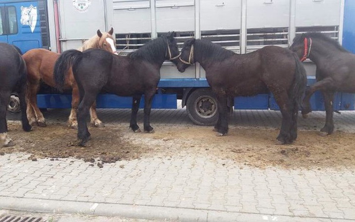 Zbiórka By móc ratować dalej ... - zdjęcie główne