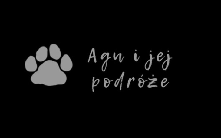 Zbiórka Nowy aparat i kurs fotograficzny - zdjęcie główne