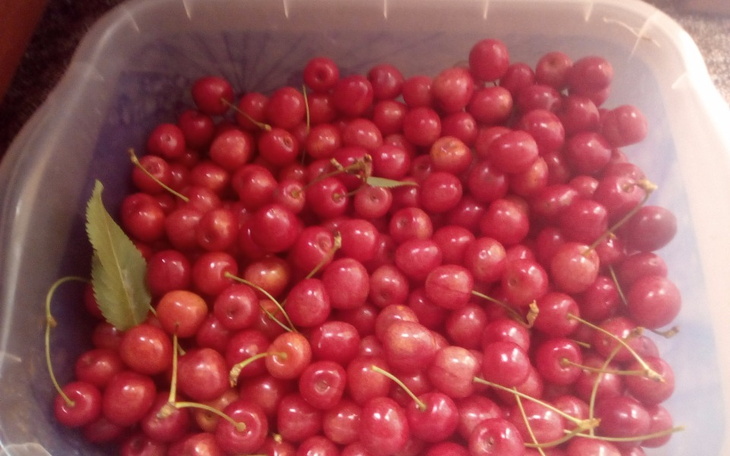 Zbiórka Na wydatki,życie - zdjęcie główne