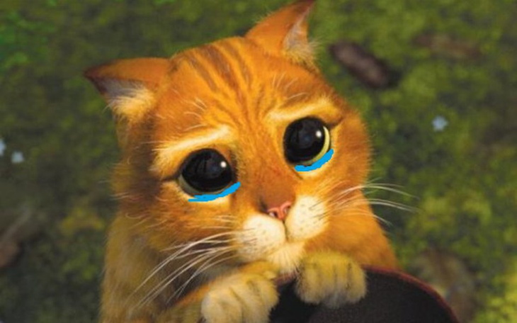 Zbiórka Komputer dla biednego Macieja - zdjęcie główne