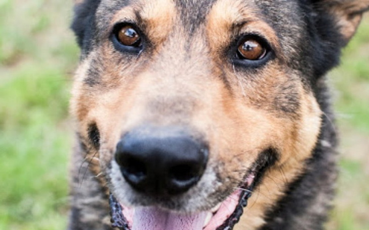 Zbiórka Cywil, całe życie na łańcuchu... - zdjęcie główne