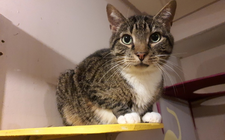 Zbiórka Uśmiech Pinki i Tadzika - zdjęcie główne