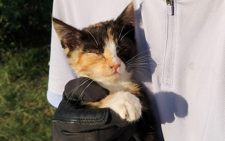 Zbiórka Ruda ślicznota - zdjęcie główne