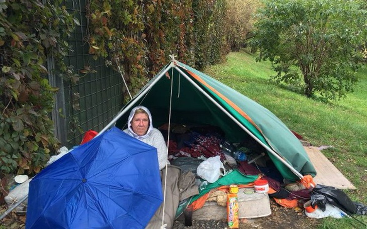 Zbiórka Pani Irena mieszka w namiocie - zdjęcie główne