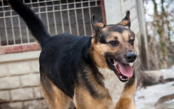 Zbiórka Tayson i Kola - kartracja = dom - zdjęcie główne