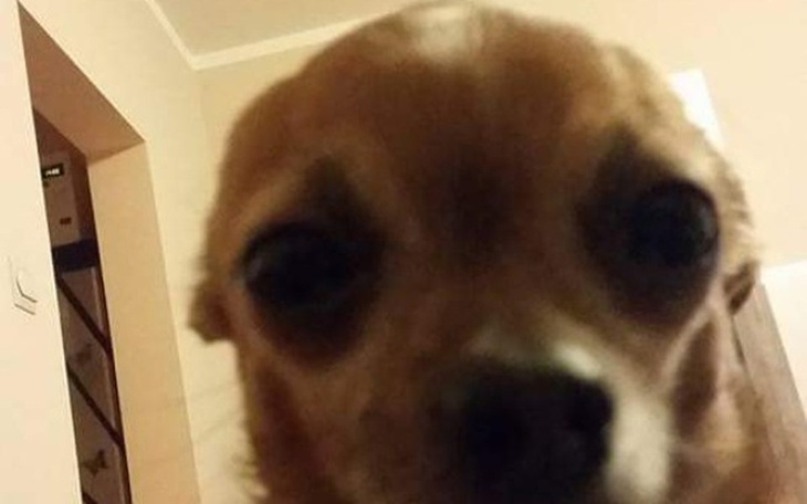 Zbiórka Mastektomia z rekonstrukcją - zdjęcie główne