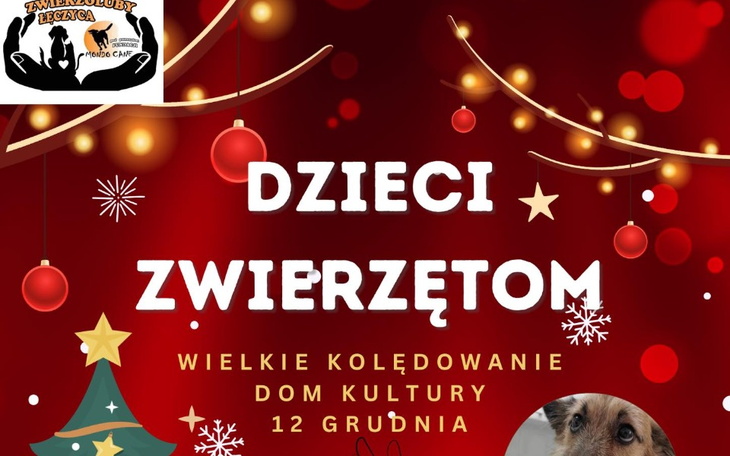 Zbiórka Dzieci Zwierzakom - zdjęcie główne