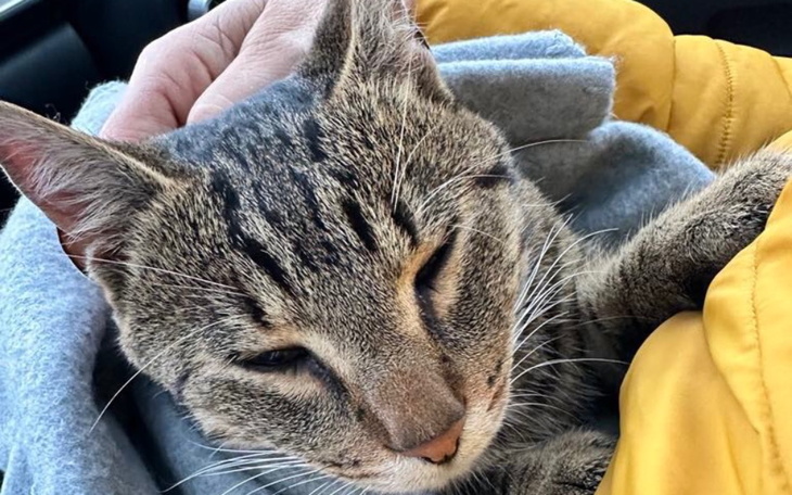 Zbiórka Pokrycie faktur - zdjęcie główne