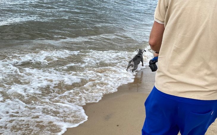 Zbiórka Na marzenia z rodziną. - zdjęcie główne