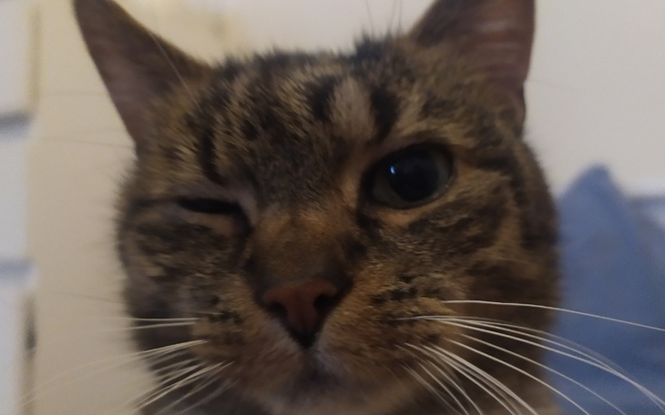 Zbiórka Dla Milka - zdjęcie główne