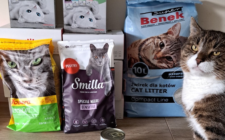Zbiórka Karma dla kotów pod naszą opieką - zdjęcie główne