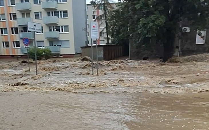 Zbiórka Wsparcie dla niosącego pomoc - zdjęcie główne