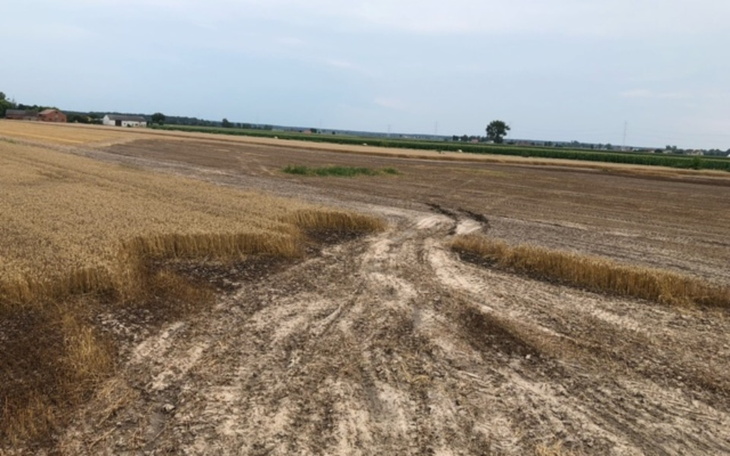 Zbiórka Pożar pochłonął zboże - zdjęcie główne