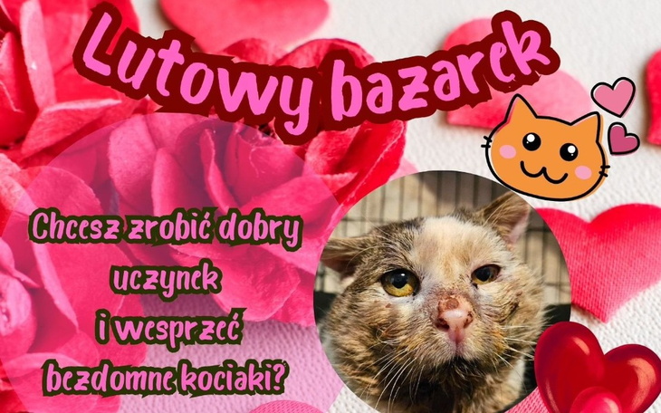 Plakat promujący bazarek dla bezdomnych kotów.