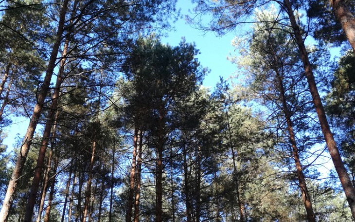 Zbiórka Zbieram na marzenia z dziećmi - zdjęcie główne