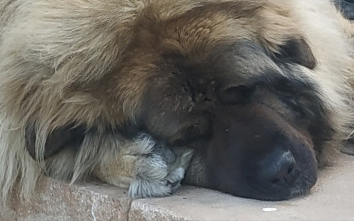 Zbiórka Cola - druga operacja - zdjęcie główne