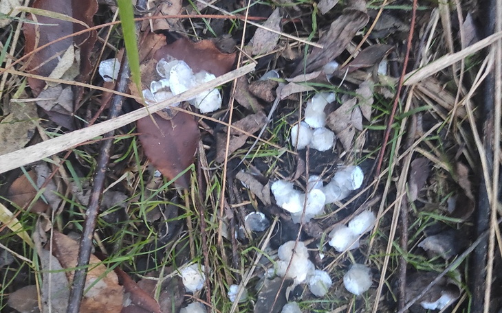 Zbiórka Na walke z klusownictwem - zdjęcie główne