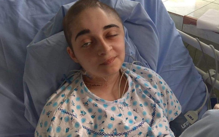 Pies na spacerze, radosny i pełen energii.