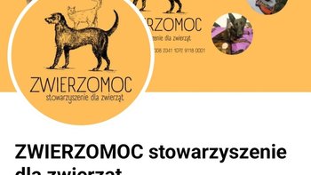 Zbiórka ZWIERZOMOC ratunek poszkodowanym - miniaturka zdjęcia