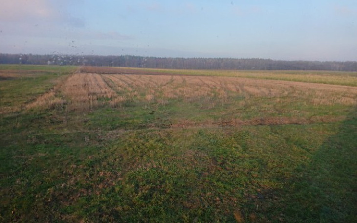 Zbiórka Zbieram na Dom jednorodzinny - zdjęcie główne