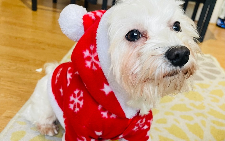 Zbiórka Operacja przepukliny kregoslupa - zdjęcie główne