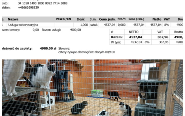 Zbiórka Opłacenie rachunków Marzec 2023. - zdjęcie główne