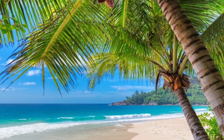 Zbiórka Tropikalna wyprawa Jolanty - zdjęcie główne