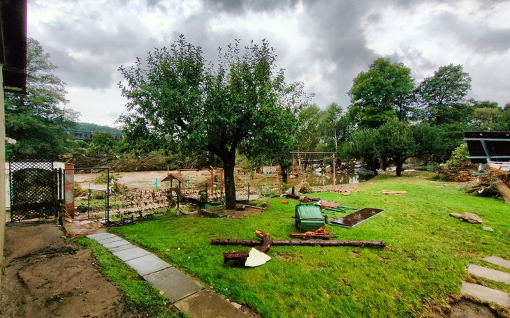 Widok na zniszczony ogród po burzy, z uszkodzonymi drzewami.