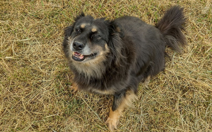 Zbiórka Kolejny miesiąc Marcela w hotelu - zdjęcie główne