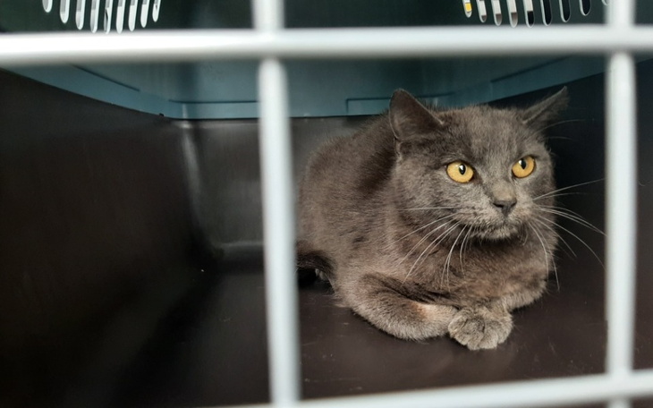 Zbiórka Na drogę do lecznicy - zdjęcie główne