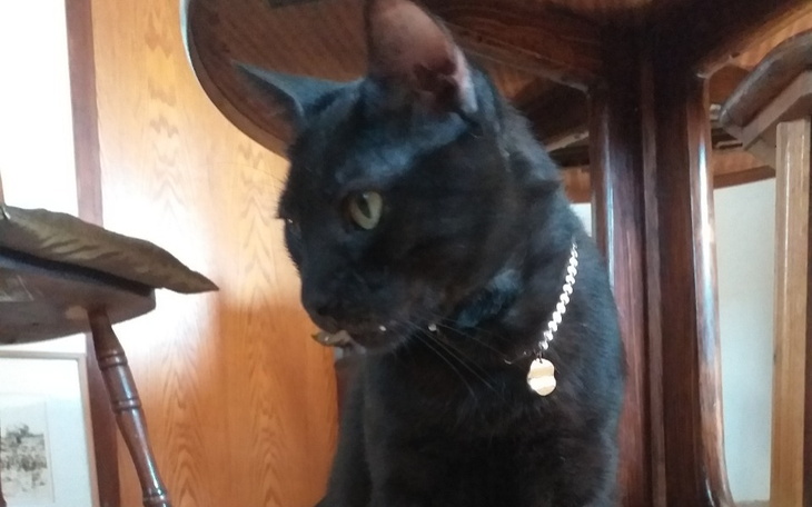 Zbiórka Na diagnozę i wyleczenie. - zdjęcie główne