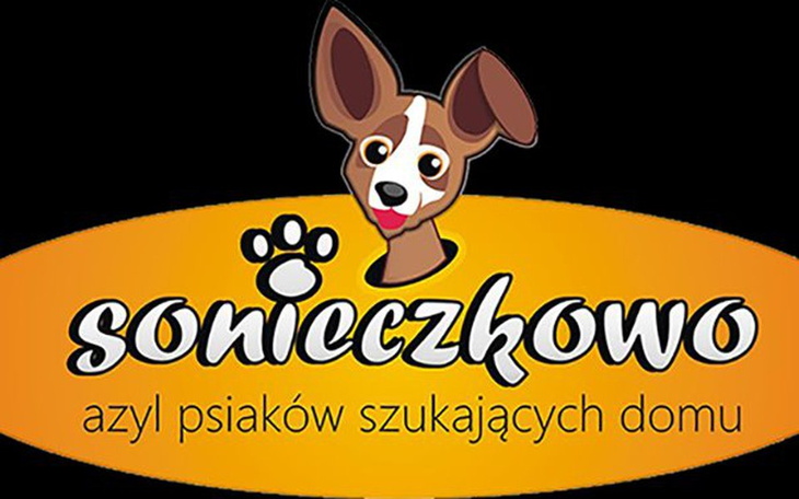 Zbiórka #gwiazdkawsonieczkowie - zdjęcie główne